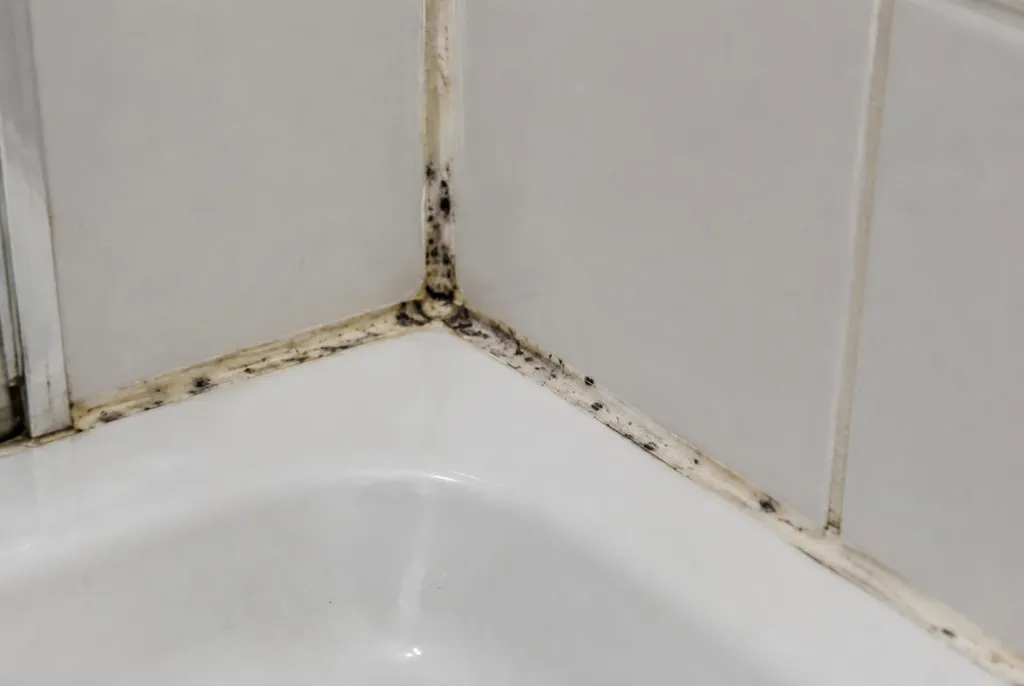 Kitbedrijf Hollandsche Rading – beschimmelde kitranden